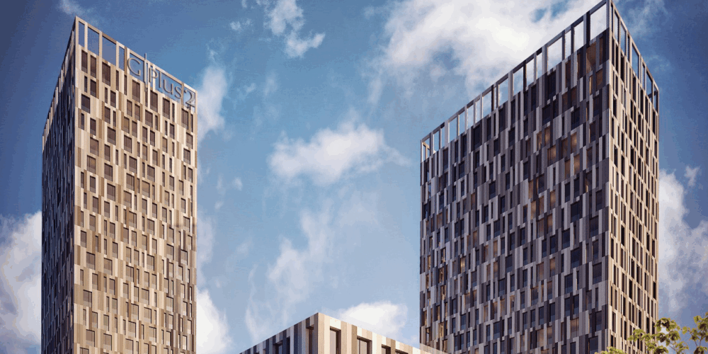 WhatsApp Image 2025-09-25 at 13.31.52