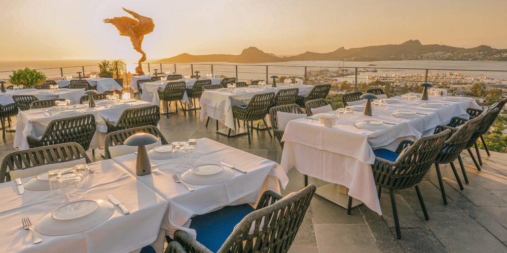 DSC01496 (1) DSC01496 (1)